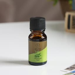 Эфирное масло «Зеленый чай», 10 мл, «Богатство Аромата»