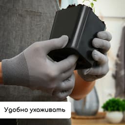 Набор для рассады: стаканы по 300 мл (12 шт.), поддон 45×18 см, МИКС, Greengo