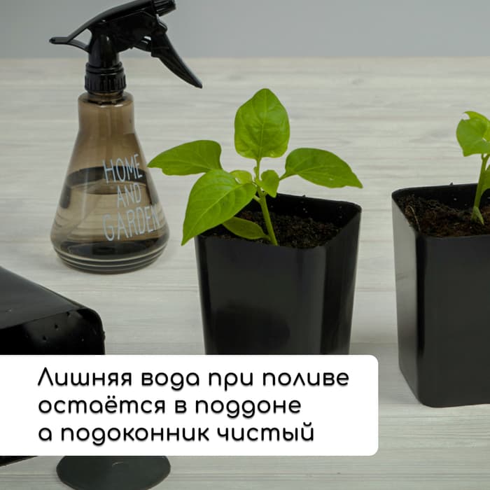 Набор для рассады: стаканы по 300 мл (12 шт.), поддон 45×18 см, МИКС, Greengo
