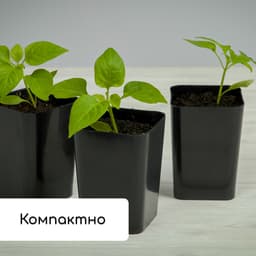 Набор для рассады: стаканы по 300 мл (12 шт.), поддон 45×18 см, МИКС, Greengo
