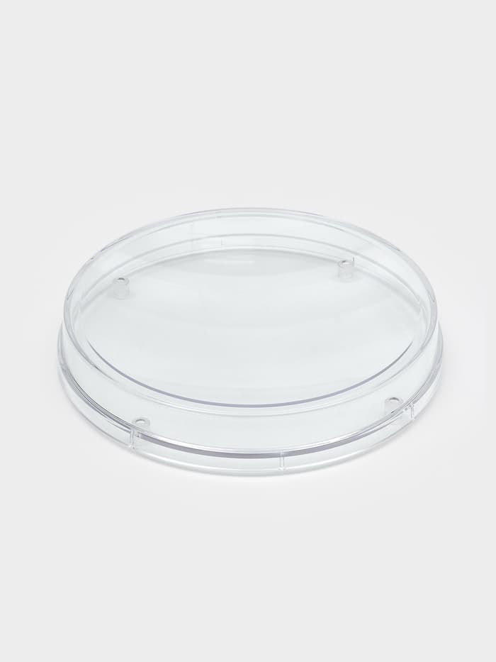 Монетница круглая RONDO, d=172 мм, h=24 мм