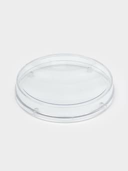 Монетница круглая RONDO, d=172 мм, h=24 мм