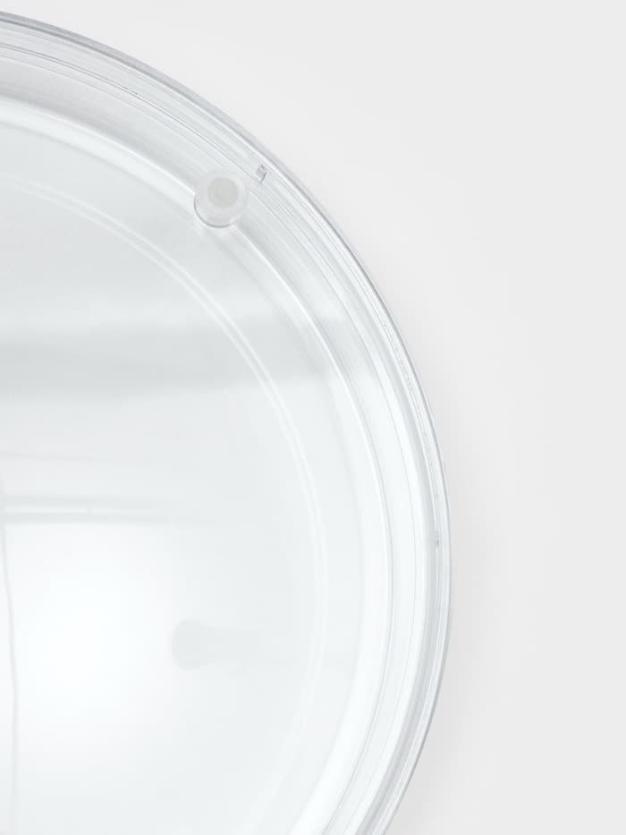 Монетница круглая RONDO, d=172 мм, h=24 мм