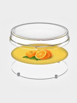 Монетница круглая RONDO, d=172 мм, h=24 мм