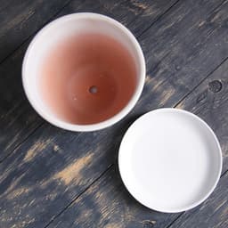 Горшок для цветов «Одуванчик», 1 л, d=15 см, h=13 см, керамика, с поддоном, белый