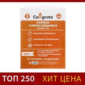 Карман самоклеящийся А4, 223×303 мм, комплект 3 штуки, Calligrata, 180 мкм, на лицевую сторону папок и любые гладкие поверхности