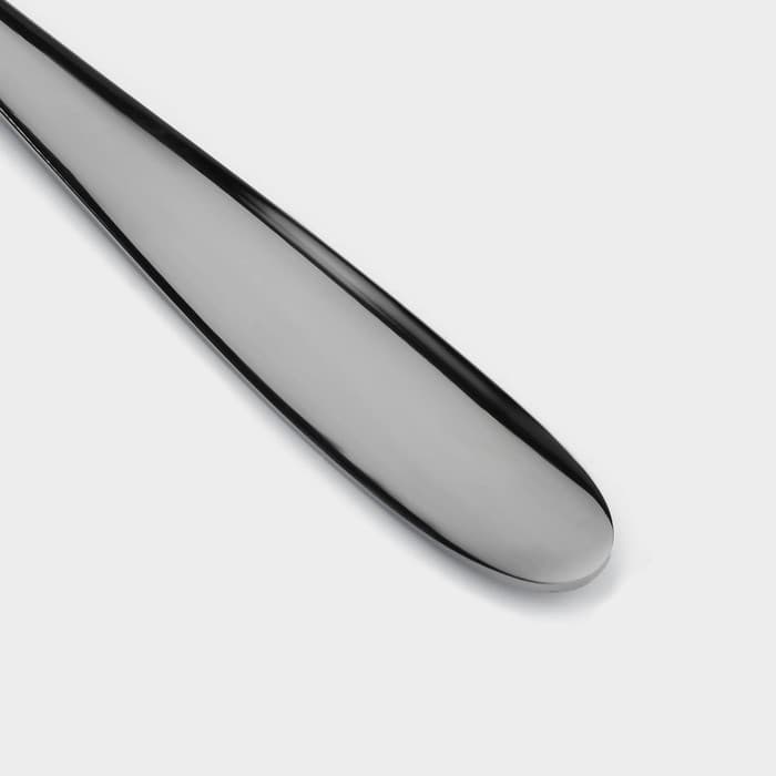 Вилка столовая, h=20 см, 201 сталь, нержавеющая сталь, серебристая