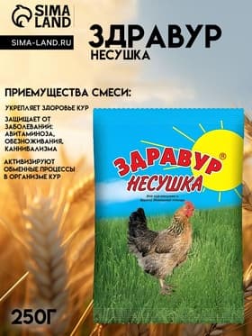 Премикс Здравур «Несушка» для кур и домашней птицы, минеральная добавка, 250 г