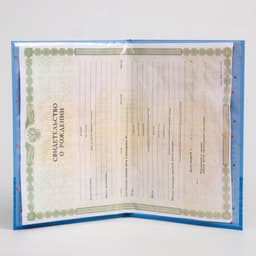 Свидетельство о рождении, Микки Маус, 21×30 см