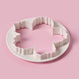 Формы для вырезания теста и мастики Доляна «Пионы», набор 4 шт.: d=8.5/10 /11.5/14.5 см, пластик, белые