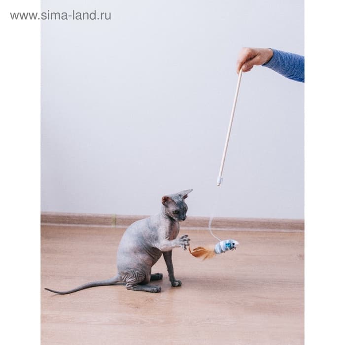 Дразнилка для кошек, 40 см, с махровой мышкой 7 см, на деревянной палочке, МИКС