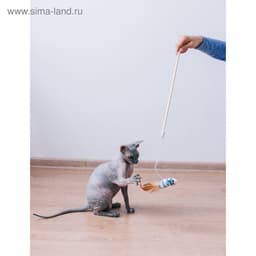 Дразнилка для кошек, 40 см, с махровой мышкой 7 см, на деревянной палочке, МИКС