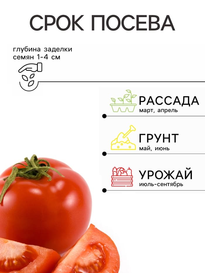 Семена Томат «Сибирский Скороспелый», детерминантный, низкорослый, 0.1 г, «Семена Алтая»