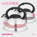 Чайник Доляна «Волна», 2.8 л, со свистком, с индикатором нагрева, фиксированная ручка, нержавеющая сталь