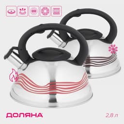 Чайник Доляна «Волна», 2.8 л, со свистком, с индикатором нагрева, фиксированная ручка, нержавеющая сталь