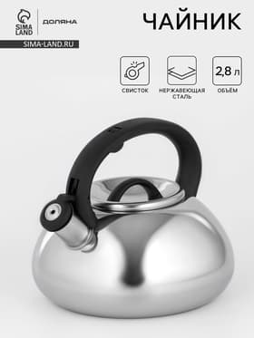 Чайник Доляна «Квант», 2.8 л, со свистком, фиксированная ручка, нержавеющая сталь, хромированный