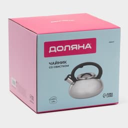 Чайник Доляна «Квант», 2.8 л, со свистком, фиксированная ручка, нержавеющая сталь, хромированный