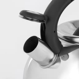 Чайник Доляна «Квант», 2.8 л, со свистком, фиксированная ручка, нержавеющая сталь, хромированный