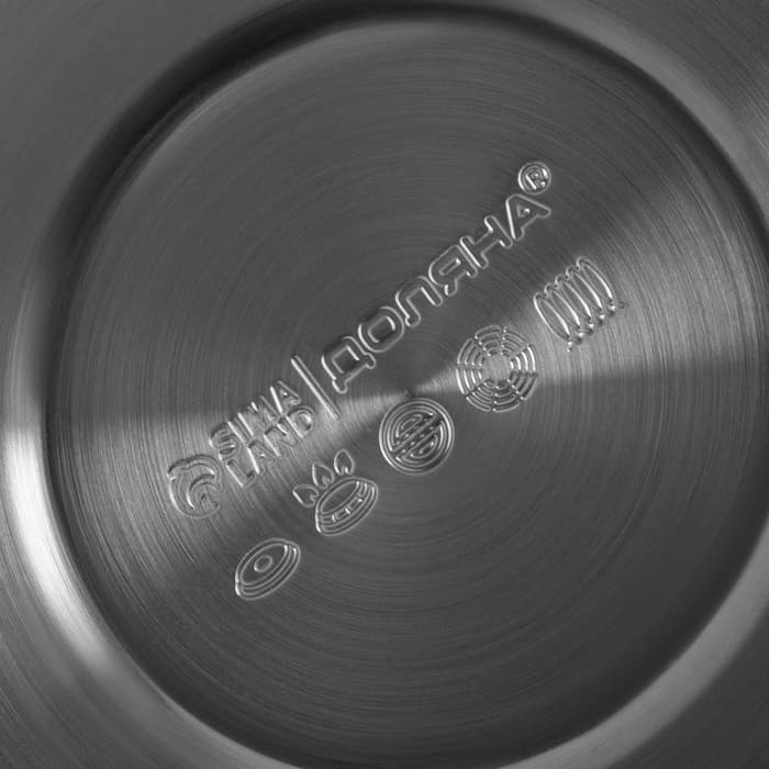 Чайник Доляна «Расцвет», 2.8 л, со свистком, фиксированная ручка, с индикатором нагрева, нержавеющая сталь, серебристый