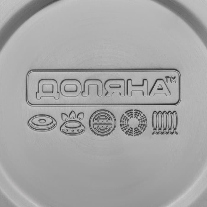 Чайник Доляна «Расцвет», 2.8 л, со свистком, фиксированная ручка, с индикатором нагрева, нержавеющая сталь, серебристый