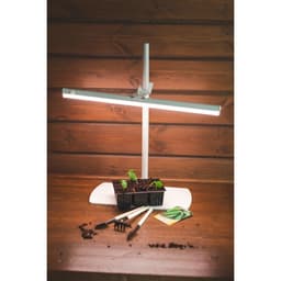 Кассета для рассады, 6 ячеек по 120 мл, пластик, чёрная, 18×13×6 см, набор 10 шт., Greengo