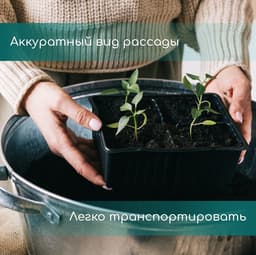 Кассета для рассады, 6 ячеек по 120 мл, пластик, чёрная, 18×13×6 см, набор 10 шт., Greengo