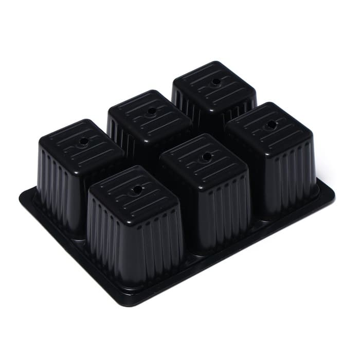Кассета для рассады, 6 ячеек по 120 мл, пластик, чёрная, 18×13×6 см, набор 10 шт., Greengo