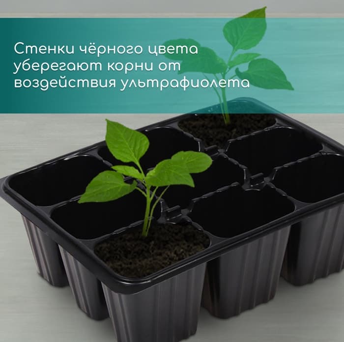 Кассета для рассады, 9 ячеек по 80 мл, пластик, чёрная, 18×13×6 см, Greengo