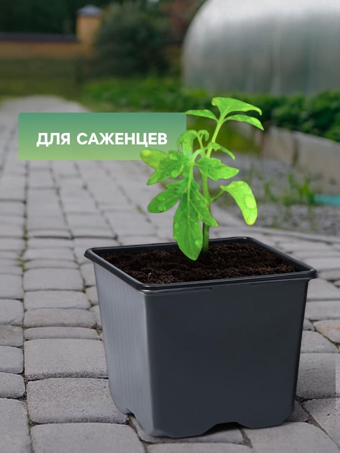 Горшок для рассады, 320 мл, 8×8×7 см, чёрный, Greengo