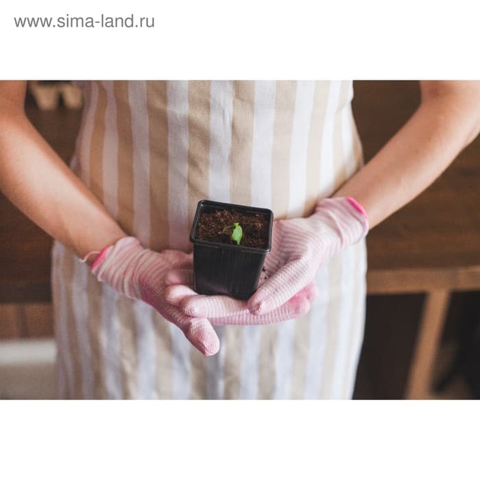 Горшок для рассады, 180 мл, 7×7×6.5 см, чёрный, Greengo
