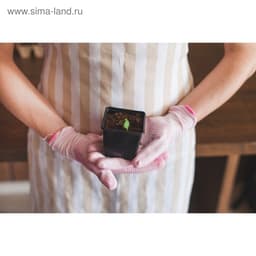 Горшок для рассады, 180 мл, 7×7×6.5 см, чёрный, Greengo