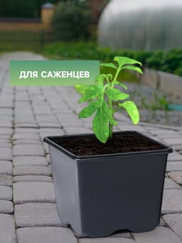 Горшок для рассады, 180 мл, 7×7×6.5 см, чёрный, Greengo