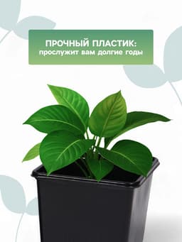 Горшок для рассады, 180 мл, 7×7×6.5 см, чёрный, Greengo