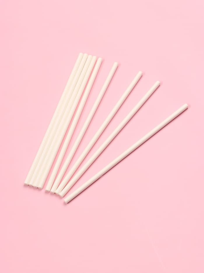 Палочки для леденцов Доляна, d=0.3 см, 10 см, набор 50 шт., бумага, белые