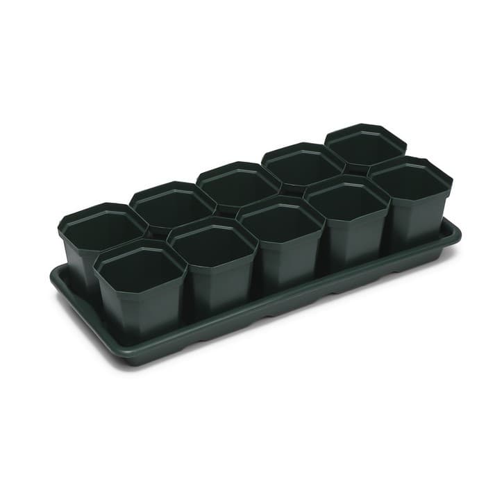 Набор для рассады: стаканы по 300 мл (10 шт.), поддон 41×17 см, цвет МИКС