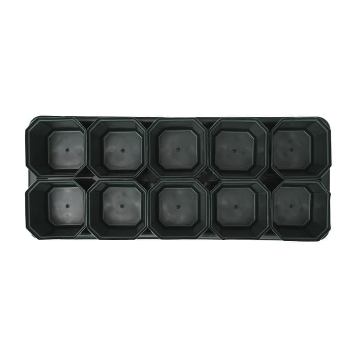 Набор для рассады: стаканы по 300 мл (10 шт.), поддон 41×17 см, цвет МИКС