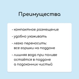 Набор для рассады: стаканы по 300 мл (10 шт.), поддон 41×17 см, цвет МИКС