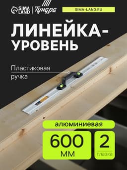Линейка-уровень ТУНДРА, металлическая, пластиковая ручка, 2 глазка, 600 мм