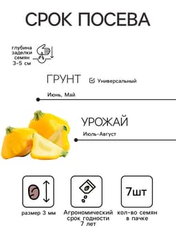Семена Патиссон корнишон «Копейка», 7 шт., Premium seeds