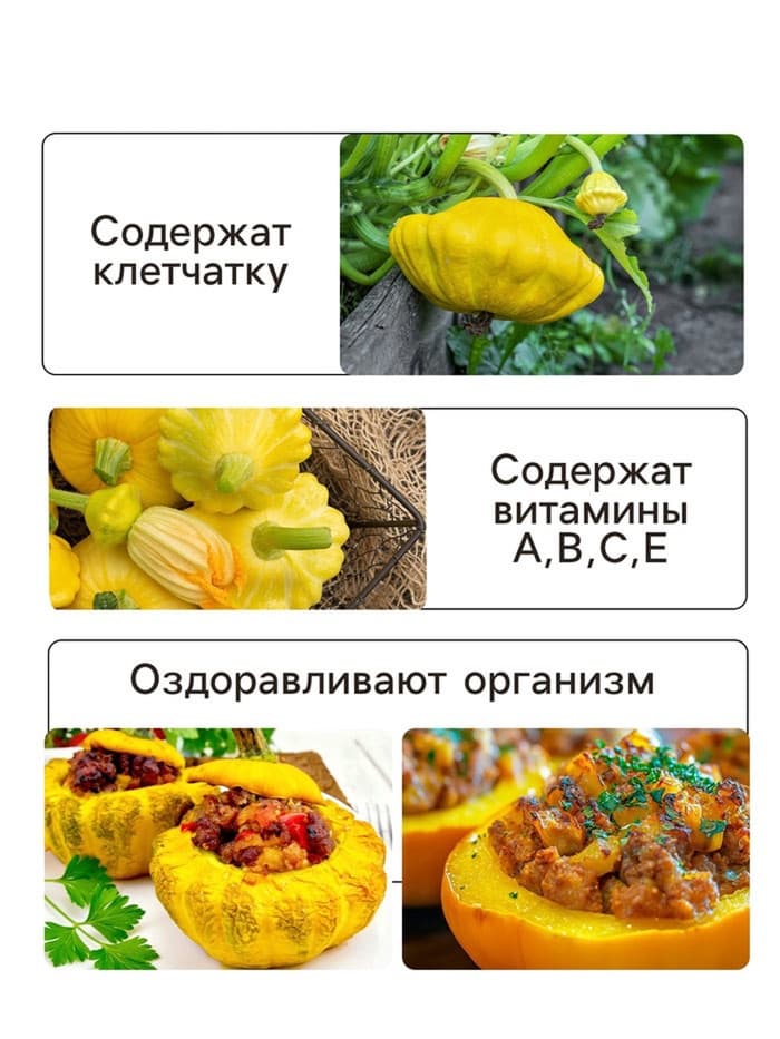 Семена Патиссон корнишон «Копейка», 7 шт., Premium seeds