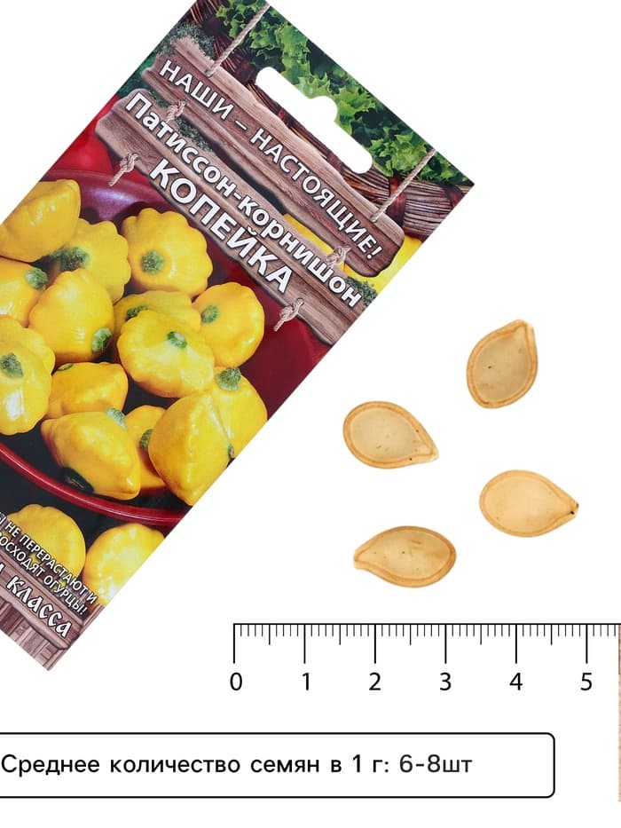 Семена Патиссон корнишон «Копейка», 7 шт., Premium seeds