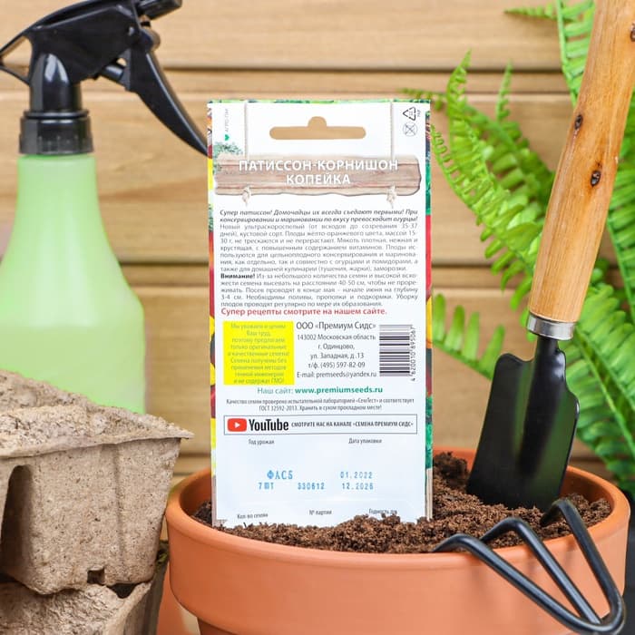 Семена Патиссон корнишон «Копейка», 7 шт., Premium seeds