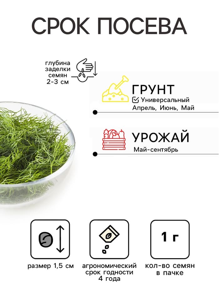 Семена Укроп пучковый «Владыка», 1 г, Premium seeds