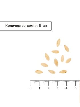 Семена огурца «Всем на Зависть F1», 5 шт., «Уральский дачник»