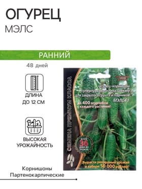 Семена огурец корнишон «Мэлс», F1, партенокарпический, 5 шт., «Уральский дачник»