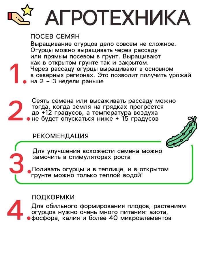 Семена огурец корнишон «Мэлс», F1, партенокарпический, 5 шт., «Уральский дачник»