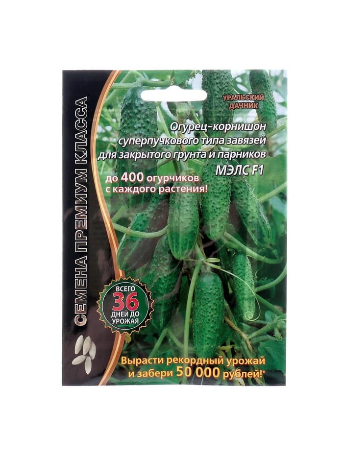 Семена огурец корнишон «Мэлс», F1, партенокарпический, 5 шт., «Уральский дачник»
