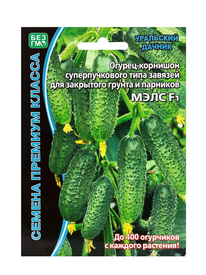 Семена огурец корнишон «Мэлс», F1, партенокарпический, 5 шт., «Уральский дачник»