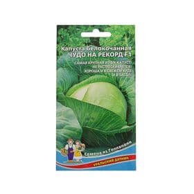 Семена Капуста белокочанная «Чудо на рекорд», F1, 0.3 г, позднеспелая, «Уральский дачник»
