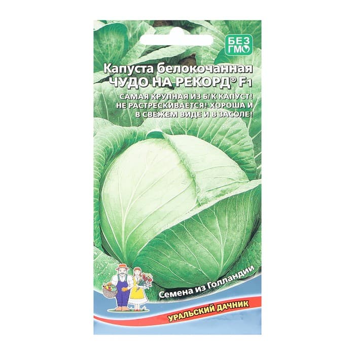 Семена Капуста белокочанная «Чудо на рекорд», F1, 0.3 г, позднеспелая, «Уральский дачник»